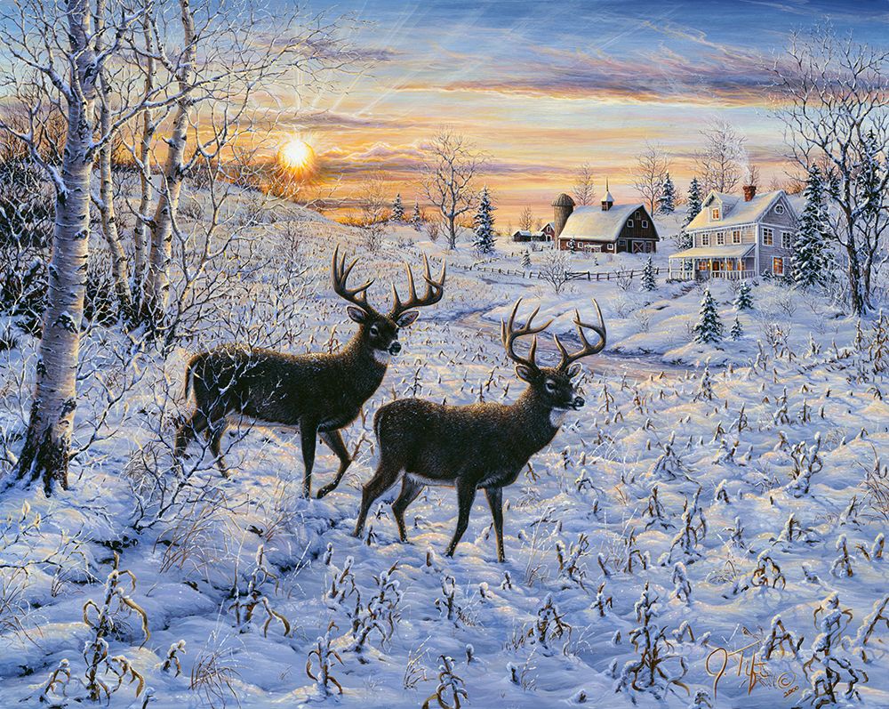 Two Deer In The Moonlight
