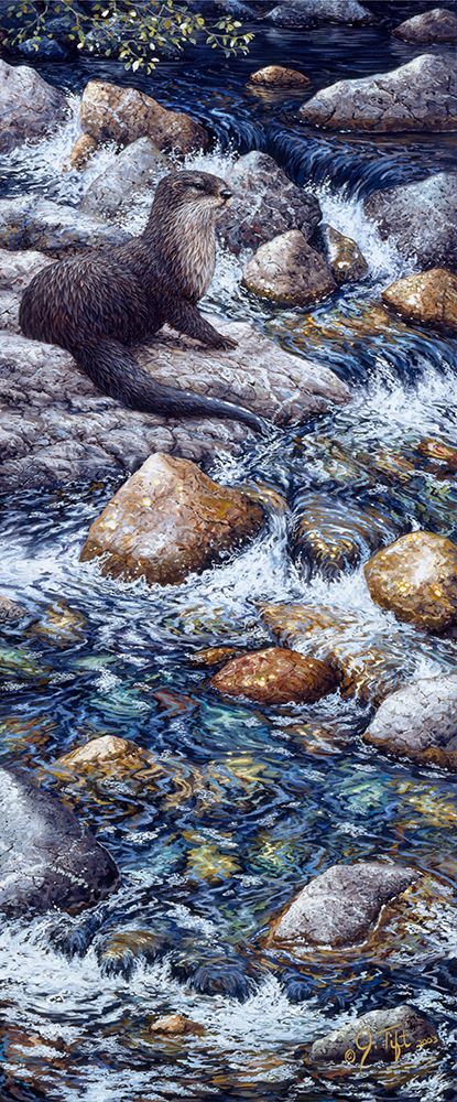 River Otter 2