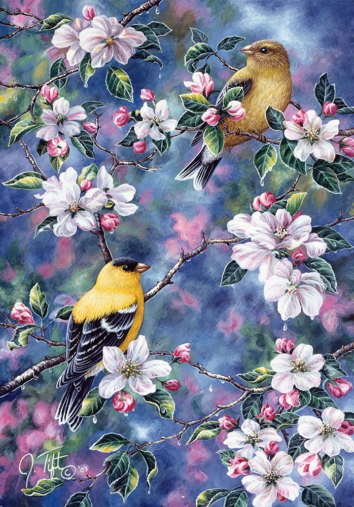 Gold Finch And Blossoms