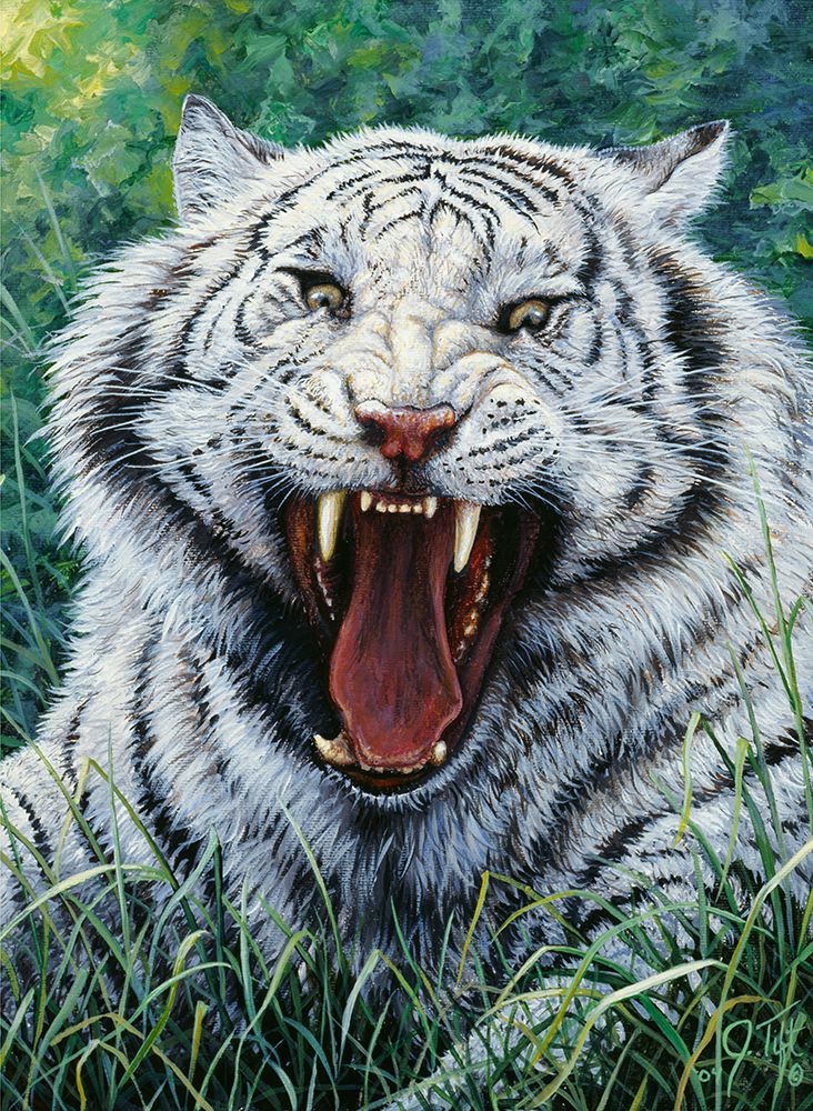 White Tiger 2