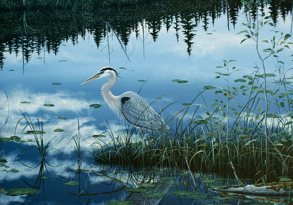 Blue Reflections