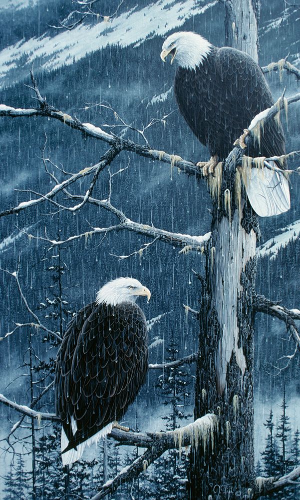 Another Rainy Day
