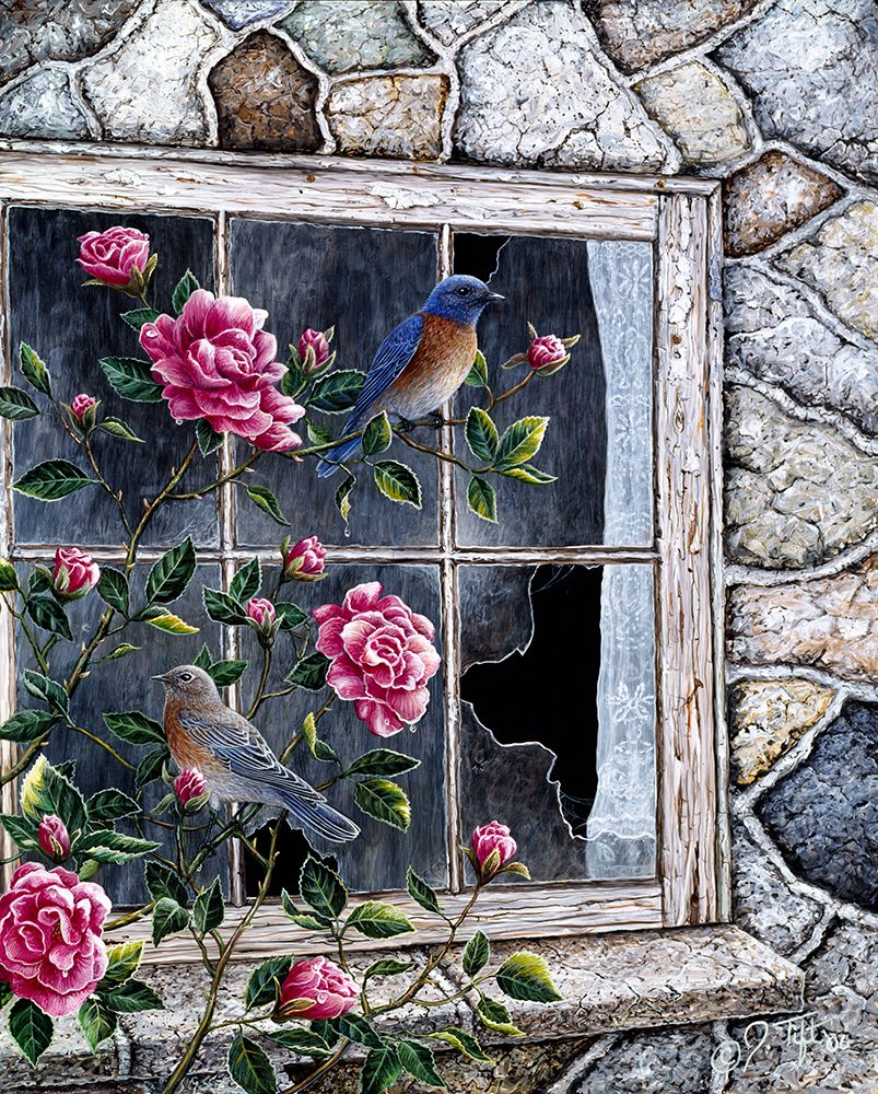 Bluebirds In Window