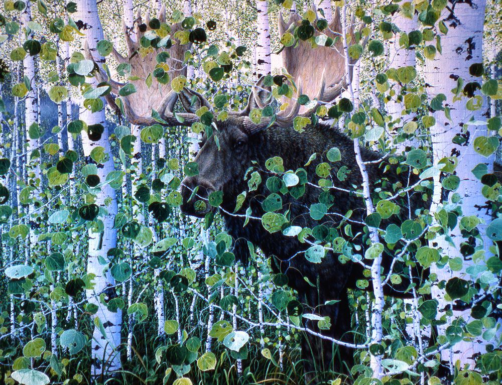 Moose