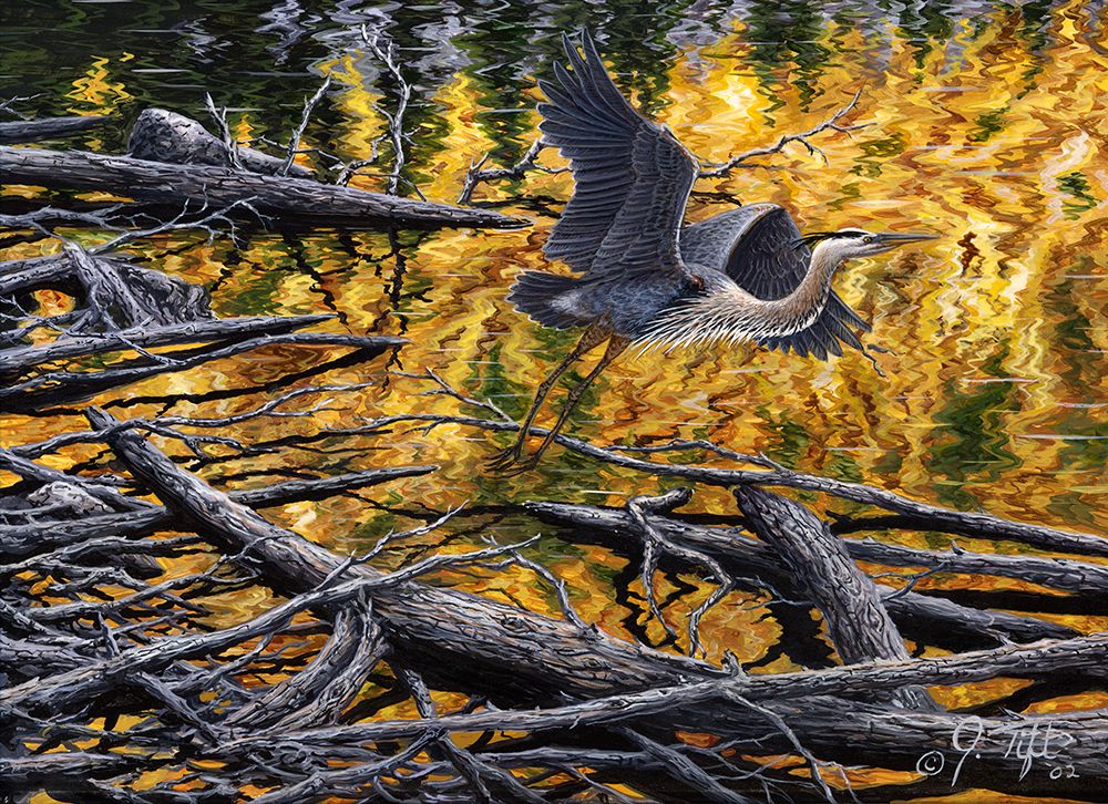 Heron