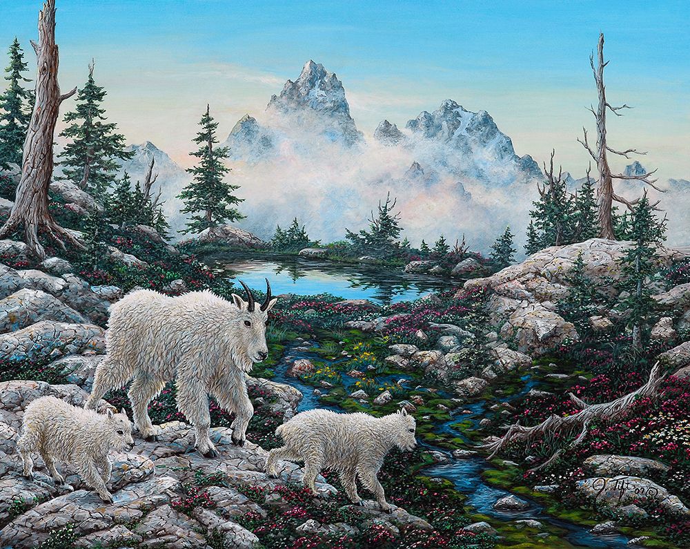 Alpine Country