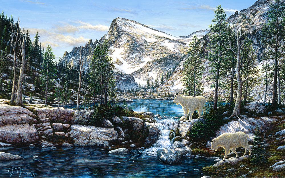 Summer In The Enchantments