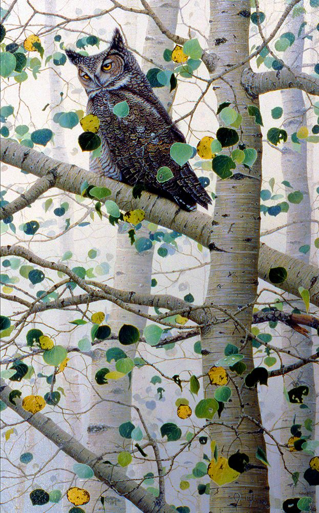 Watchful Eyes 2
