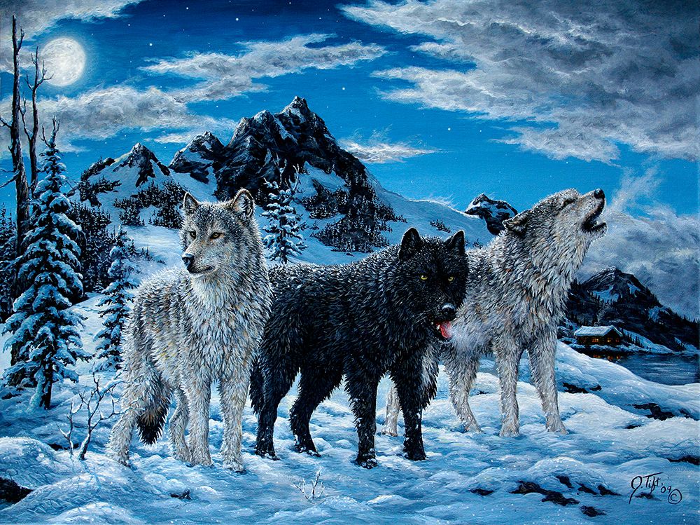 Night Howl