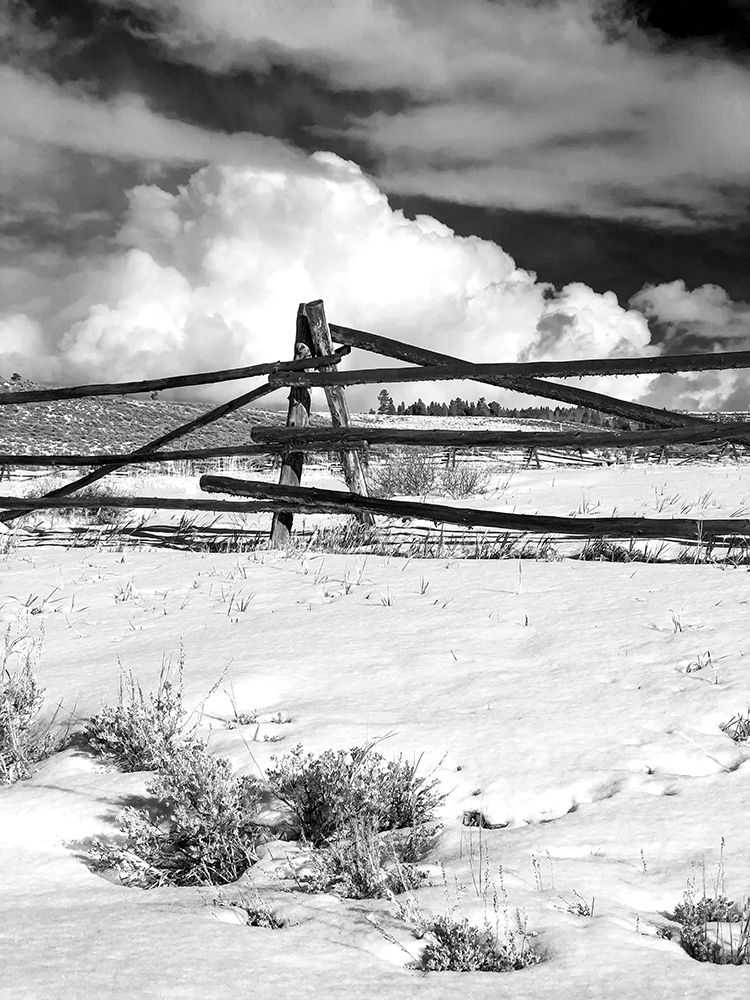 Stock Fence