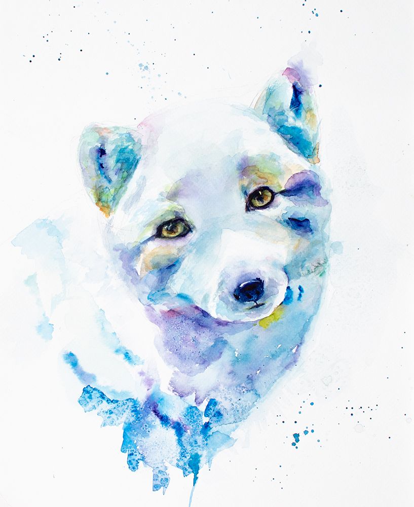 Arctic Fox