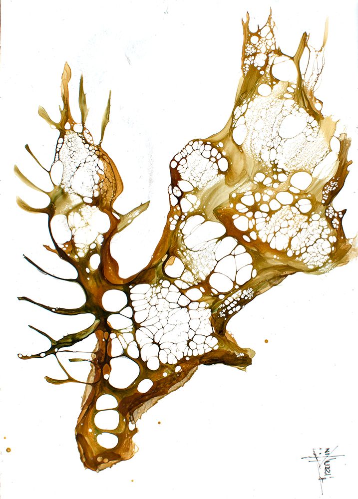 Cellular Series - Moose