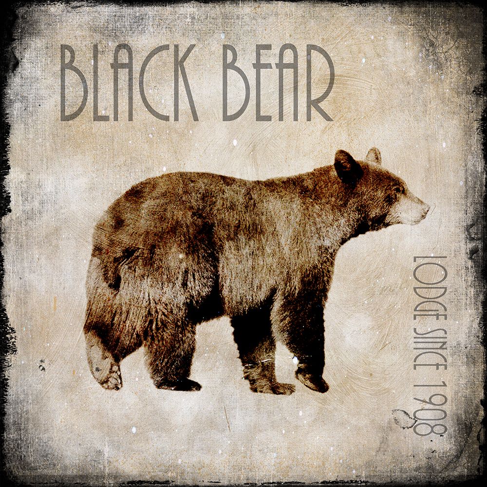 Moose Lodge 2 - Black Bear