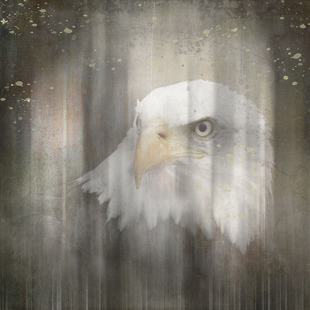 Antique Wildlife Eagle