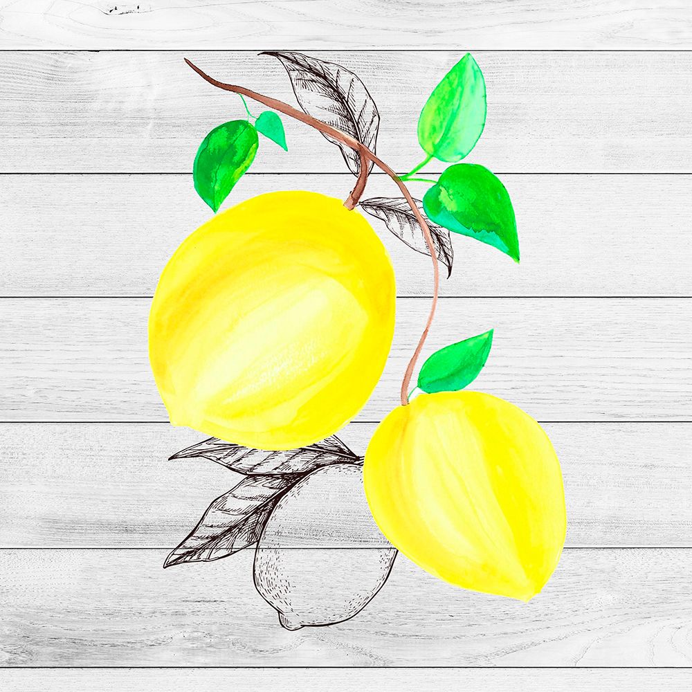 Farm Lemon 03