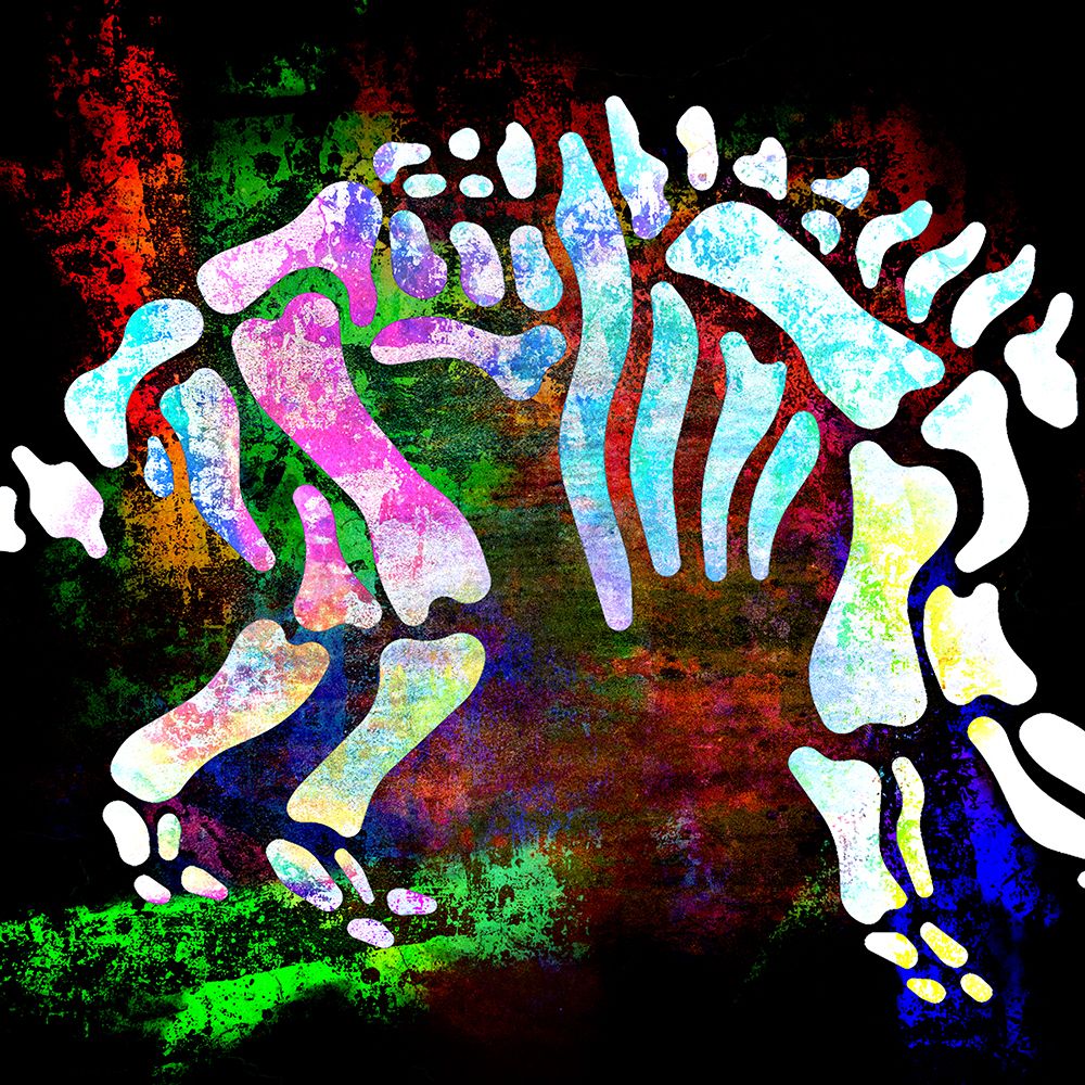 Dino Bones Trieratops series 02