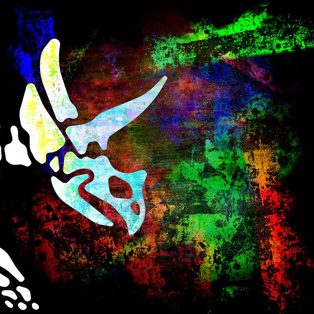 Dino Bones Trieratops series 03