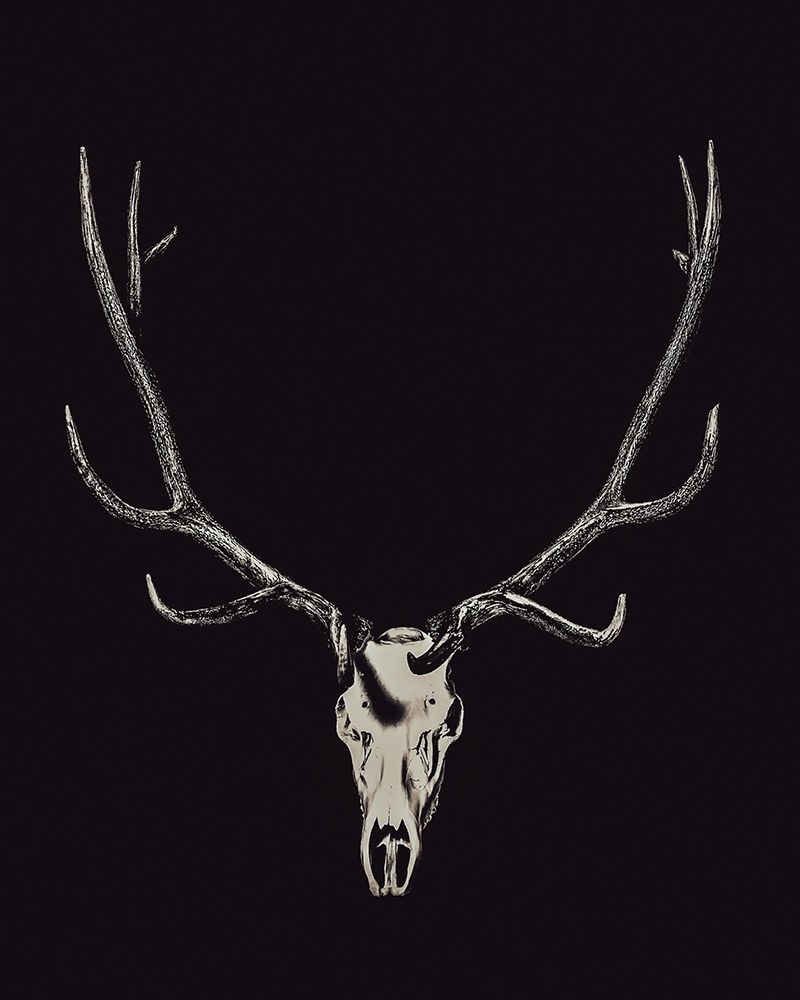 The Rustic Antler 02