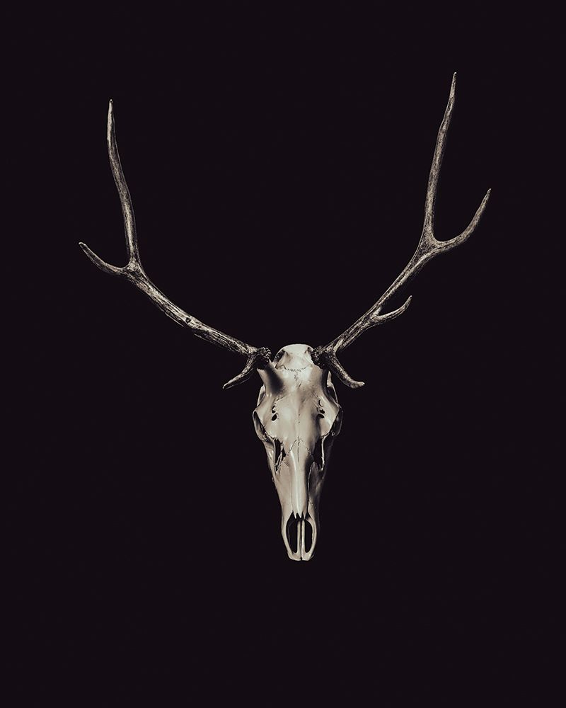 The Rustic Antler 03