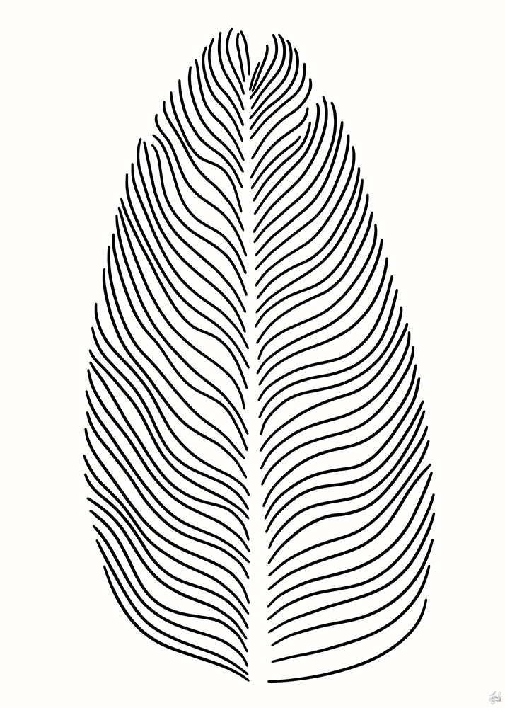 Palm Line 1