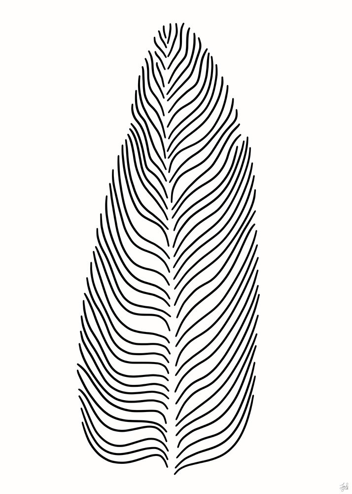 Palm Line 2