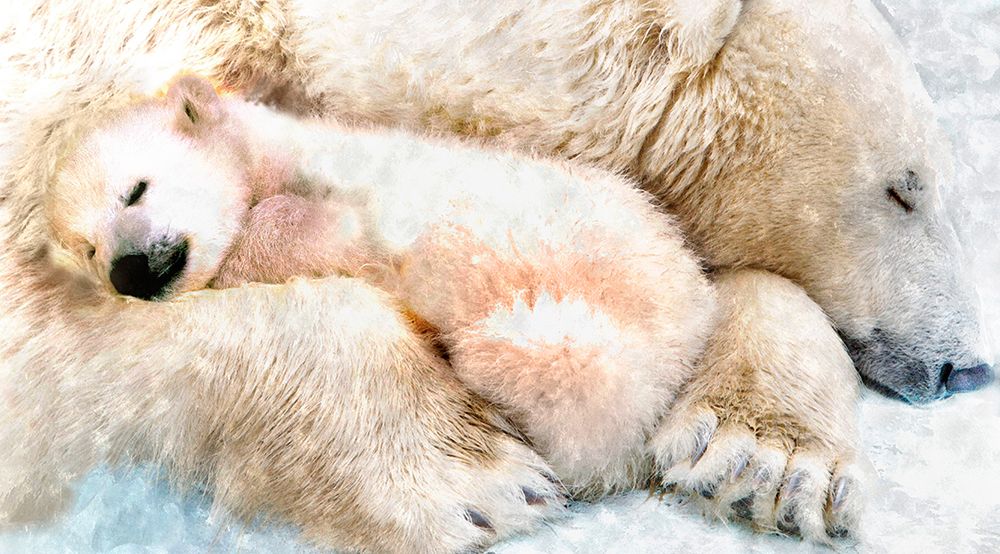 Polar Sleep