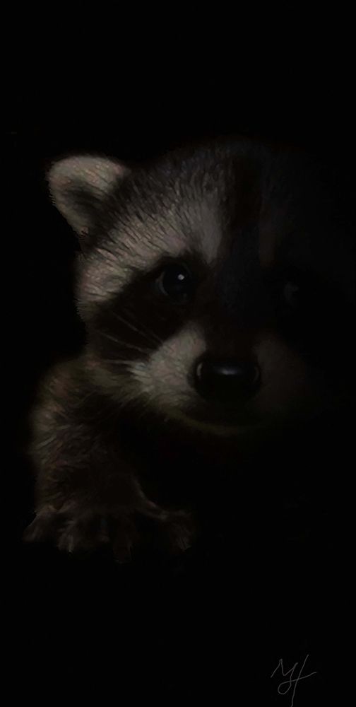 Bandit