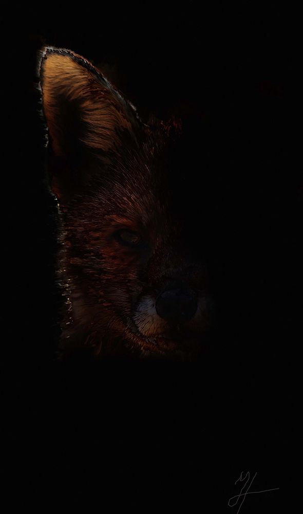 Out Fox