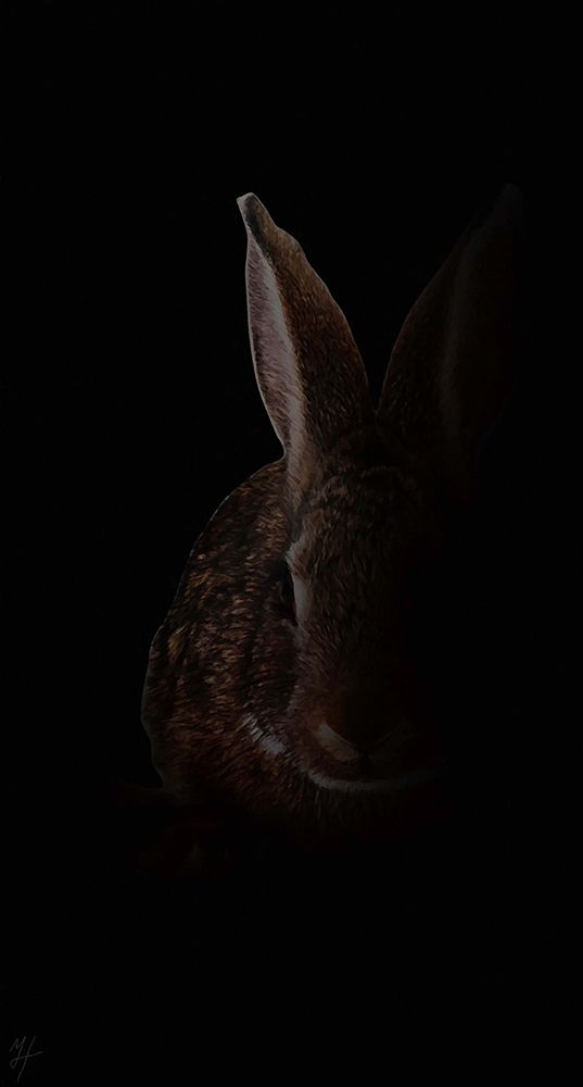 Wabbit