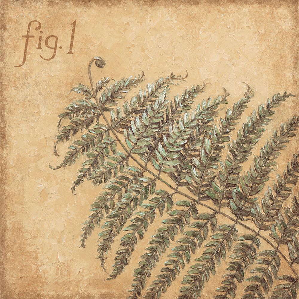 Fern Figurative