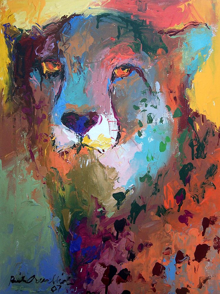 Cheetah
