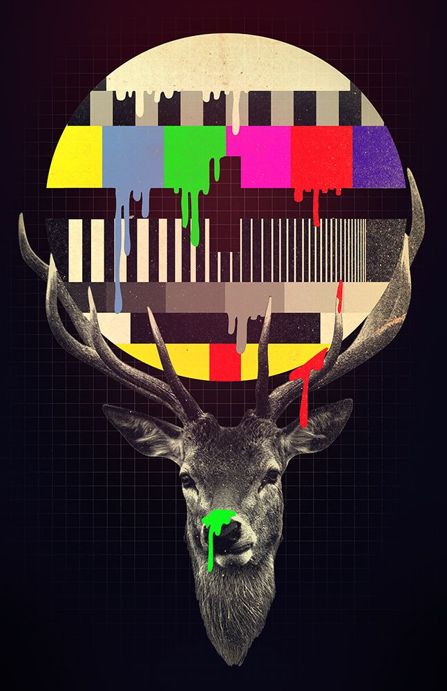 No Signal
