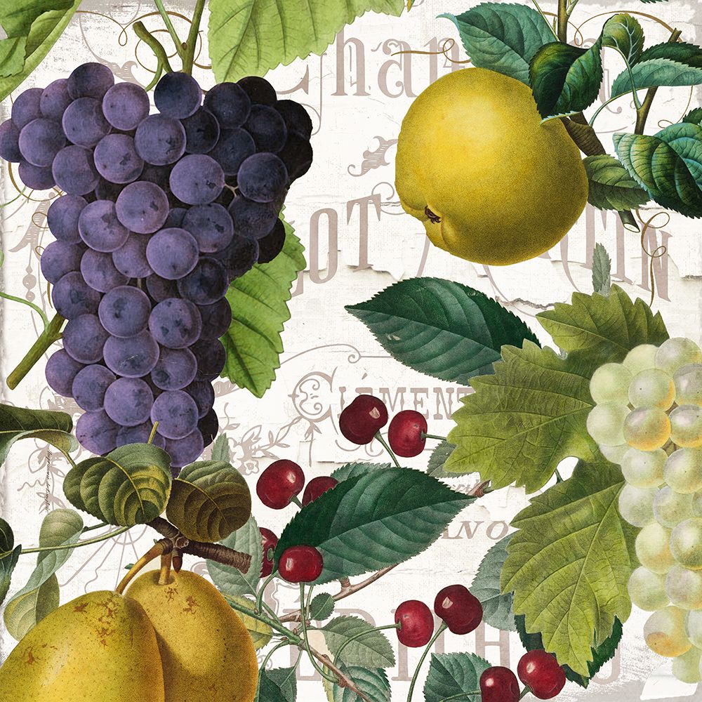 Fruit Bowl I