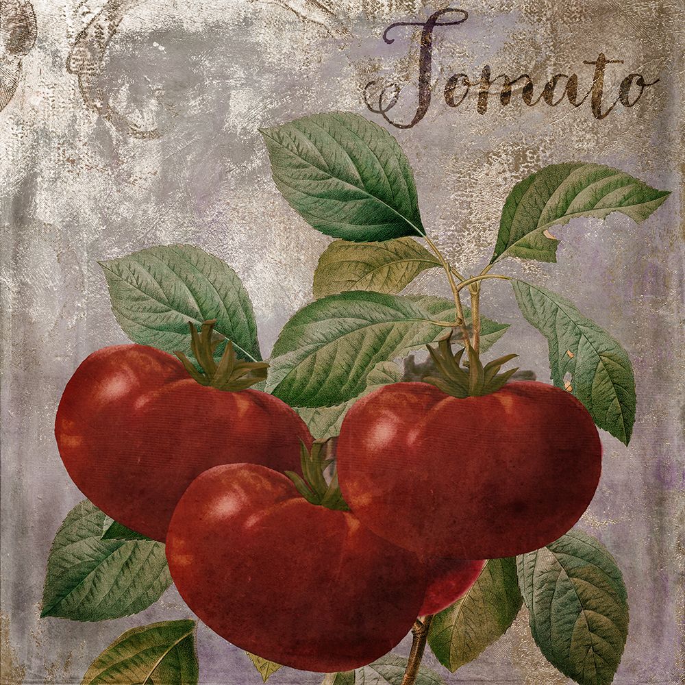 Medley_Gold_Tomato