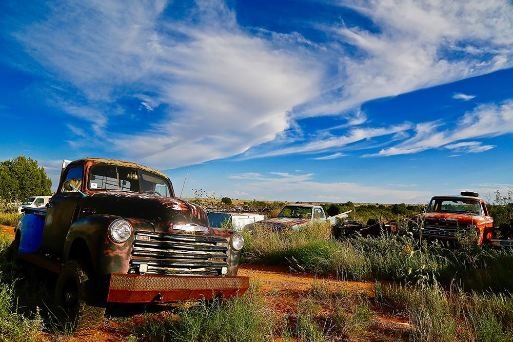 Field Of Trucks