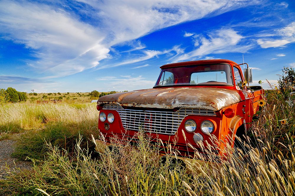 Orange Pickup