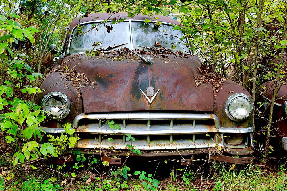 Caddy In The Trees