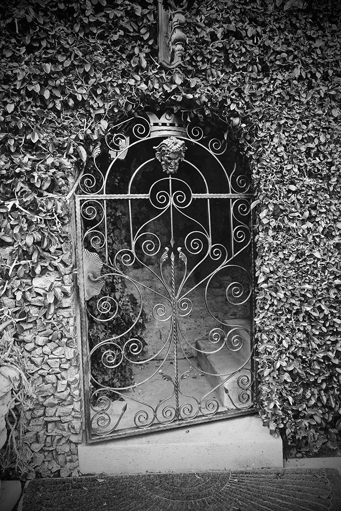 Gate With Ivy