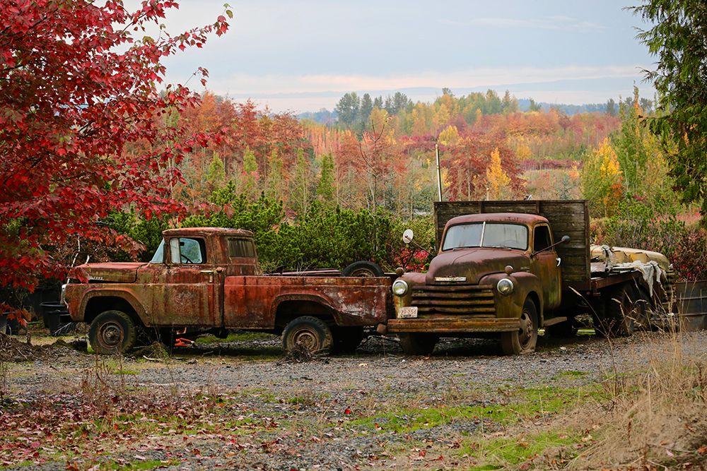 2 Autumn Vintage Trucks