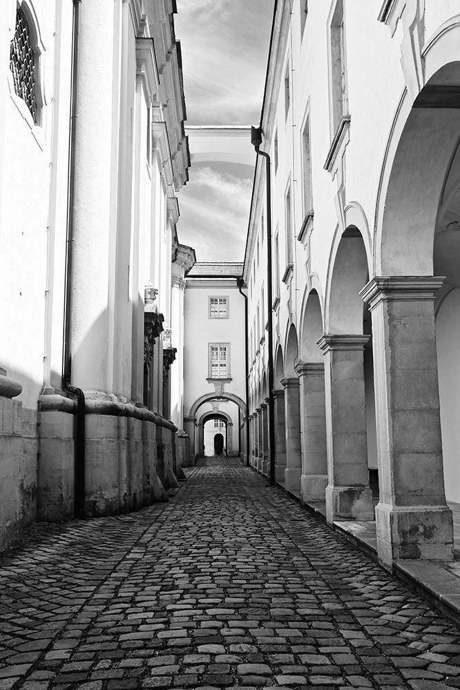 Abbey Black and White