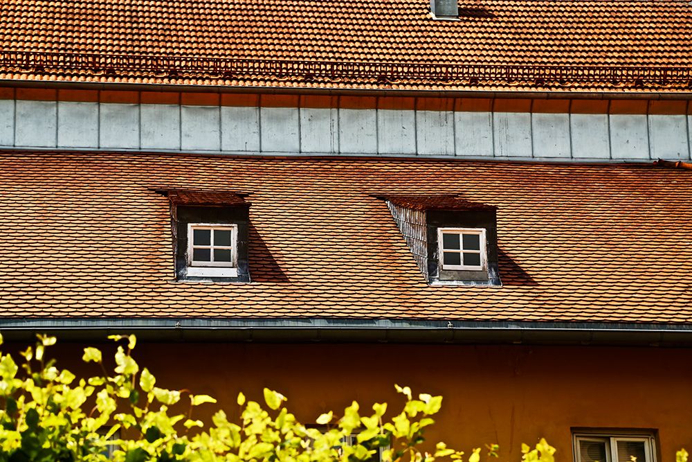 Double Window Rooftop
