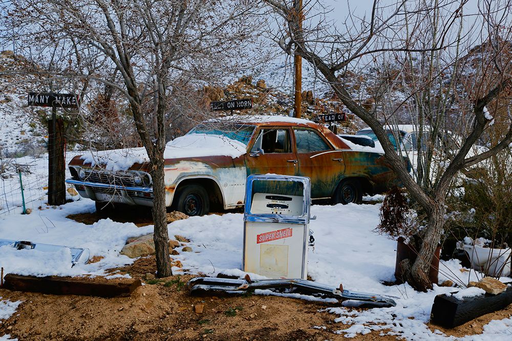 Vintage Car in the Trees