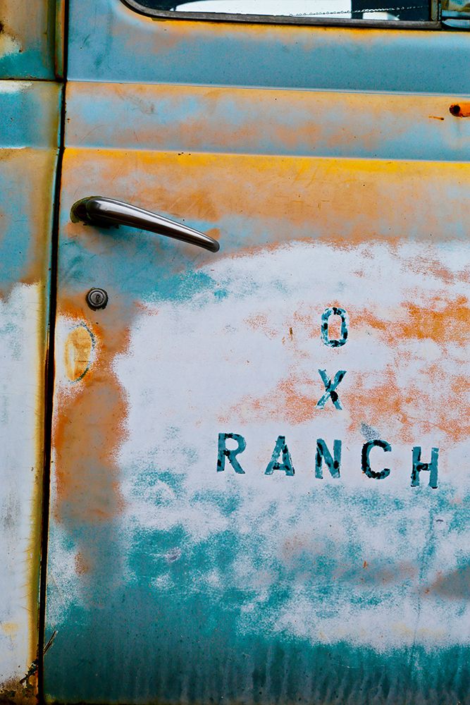 Vintage OX Ranch Door