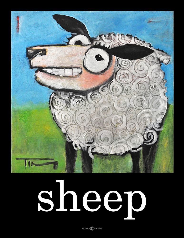 Sheep Poster