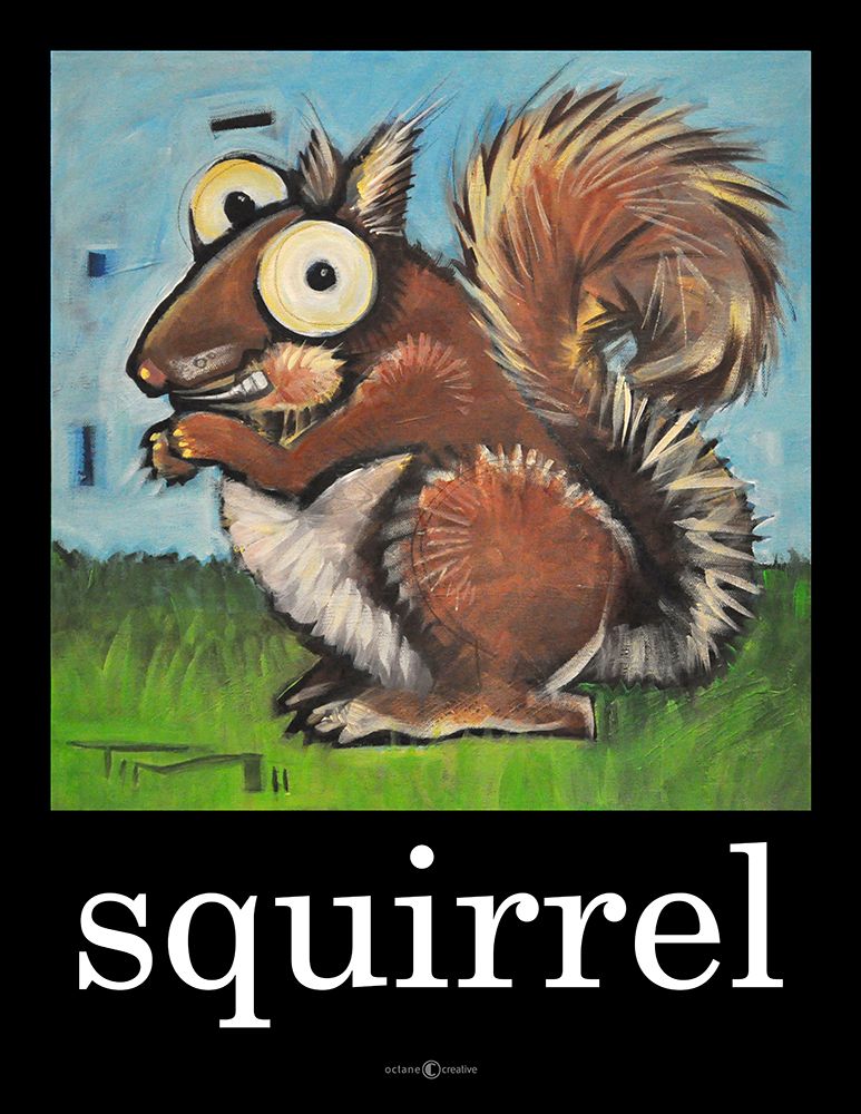 Squirrel Poster