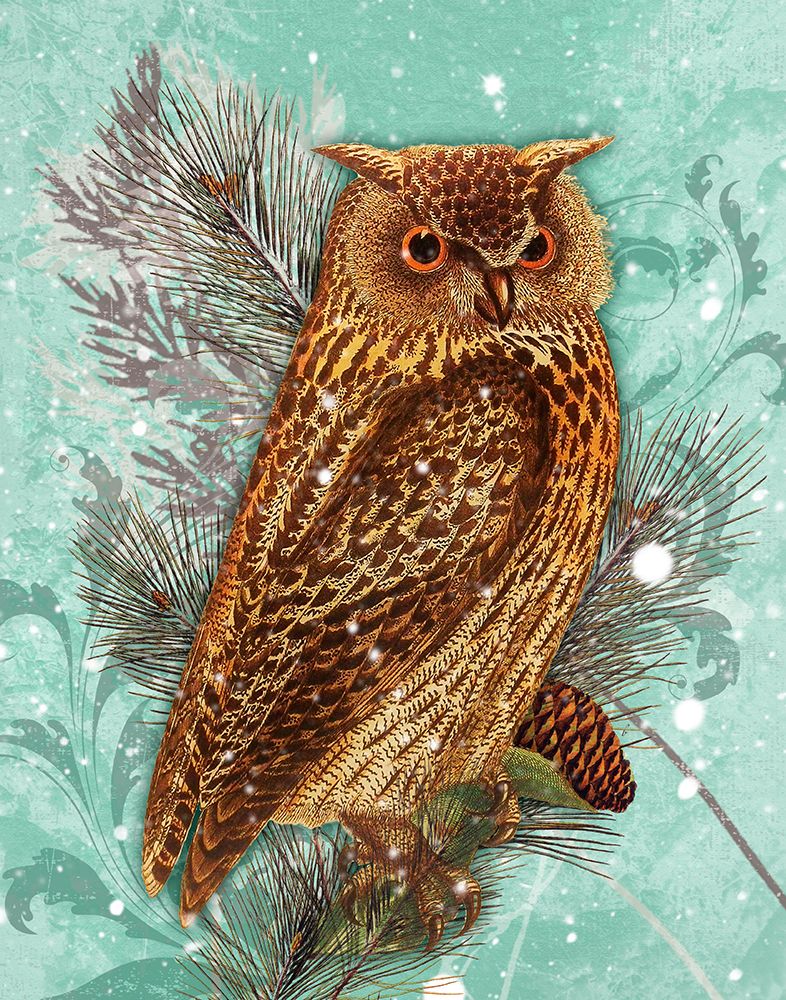 Snowy Owl