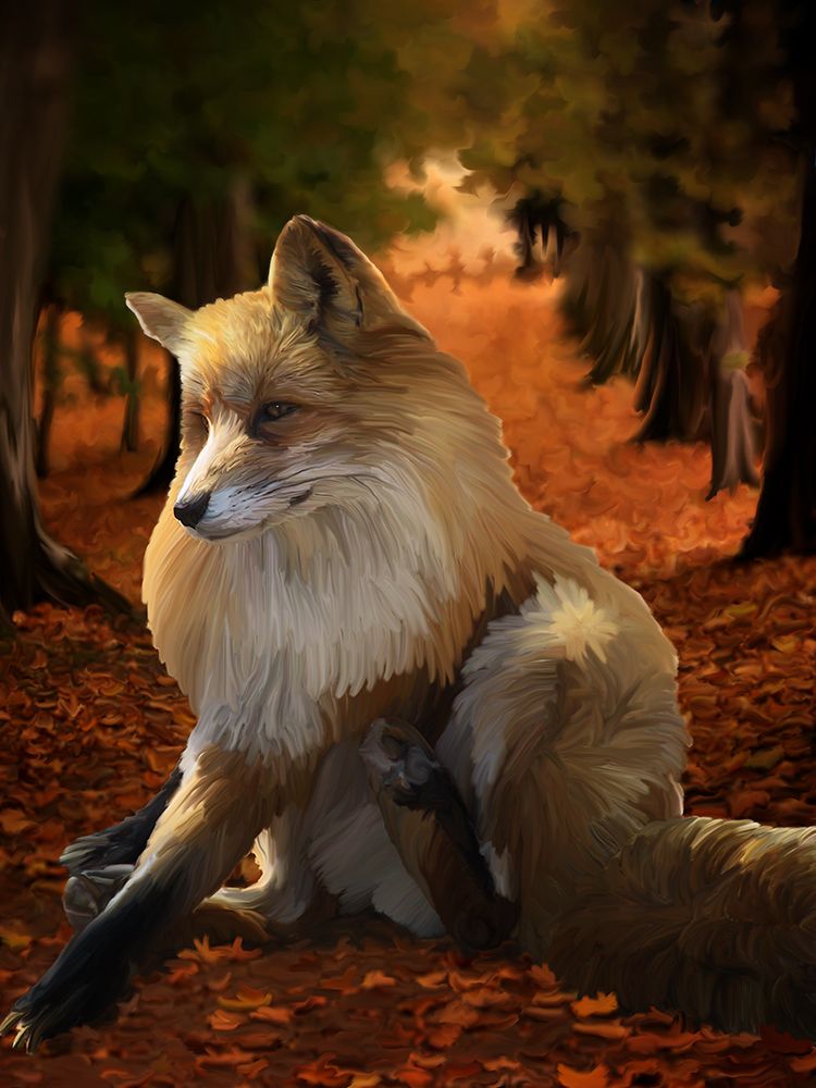 Fall Fox