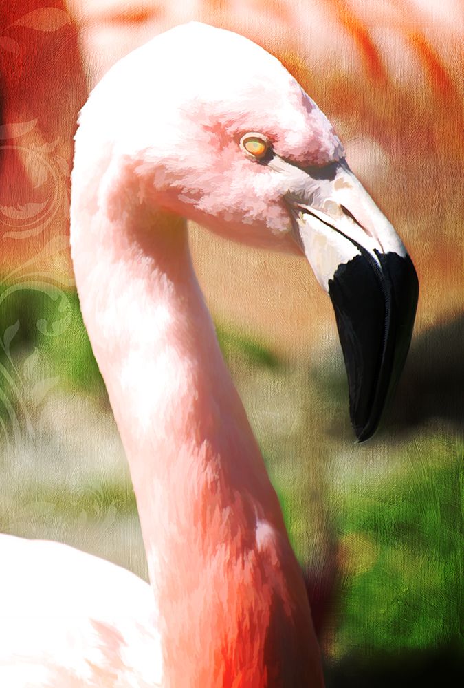 Pink Flamingo I