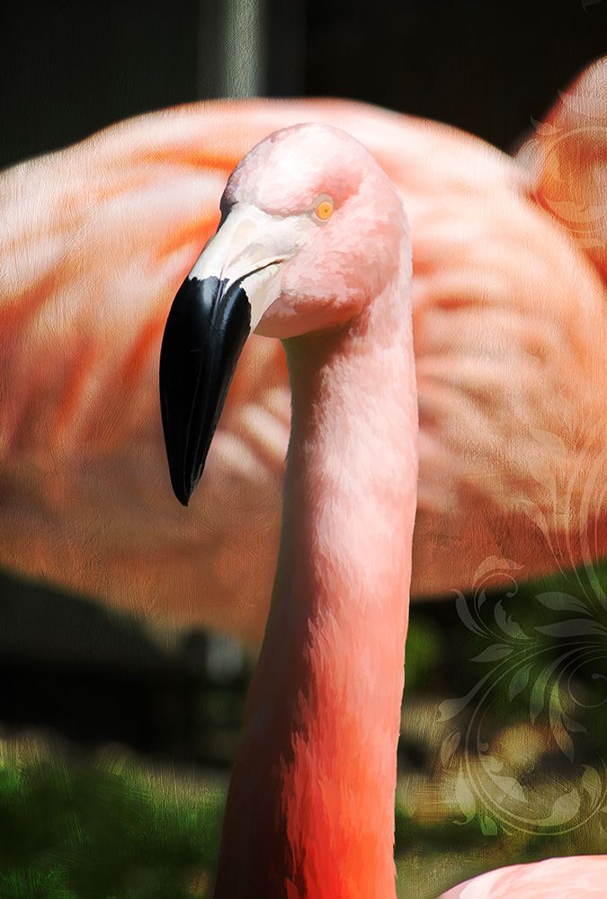 Pink Flamingo II