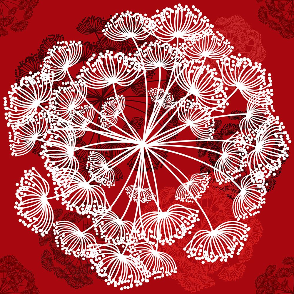 Queen Ann Pattern